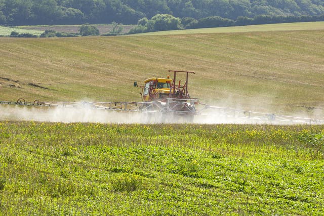 Green groups are concerned that a 'no deal' outcome would affect Britain's farmers and result in fewer agricultural regulations protecting the environment