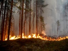 Sweden calls for international help as wildfires rage in Arctic circle