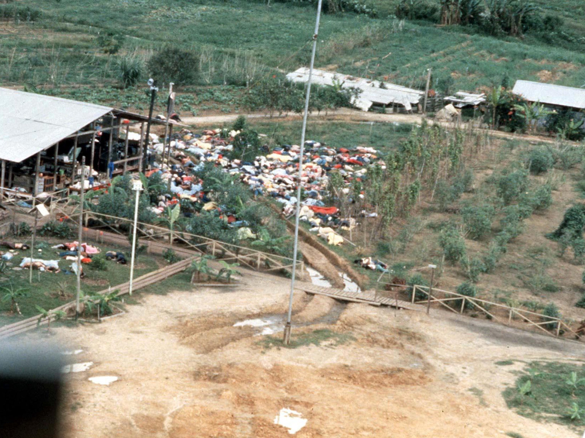 Over 900 dead bodies were found when investigators and journalists returned to Jonestown