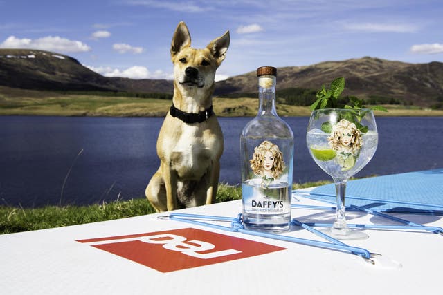 Combine gin foraging and stand up paddleboarding in the Cairngorms