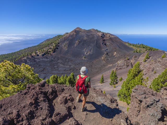 This lush and undeveloped island provides ample opportunities for hiking