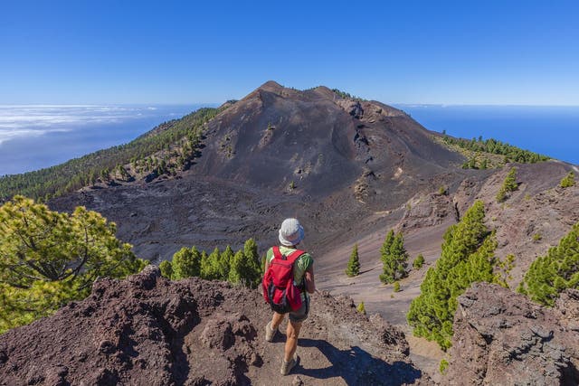 This lush and undeveloped island provides ample opportunities for hiking