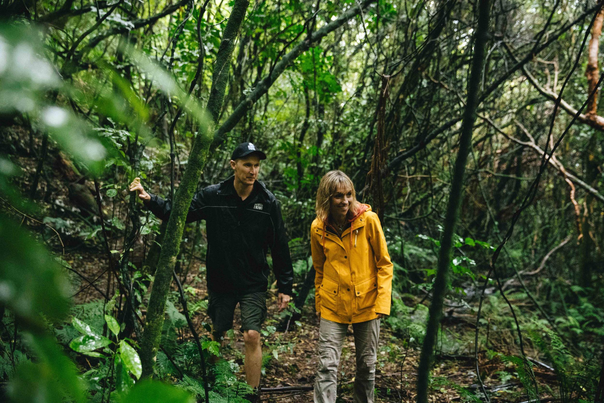 Paul O'Shea — a ranger on one of the predator-free islands — at work helping protect the kiwi from extinction