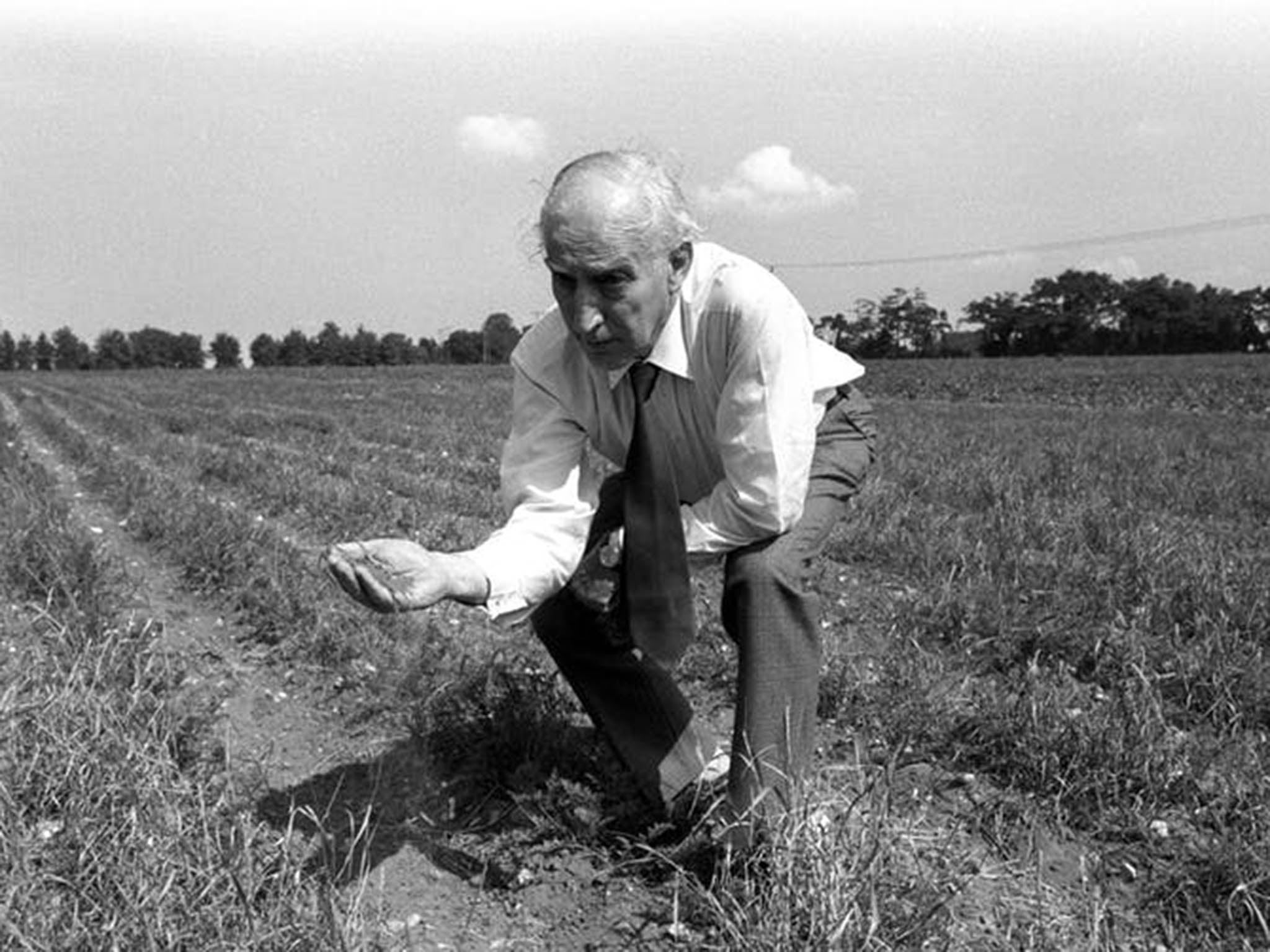 The heat left the soil incredibly dry in the Seventies