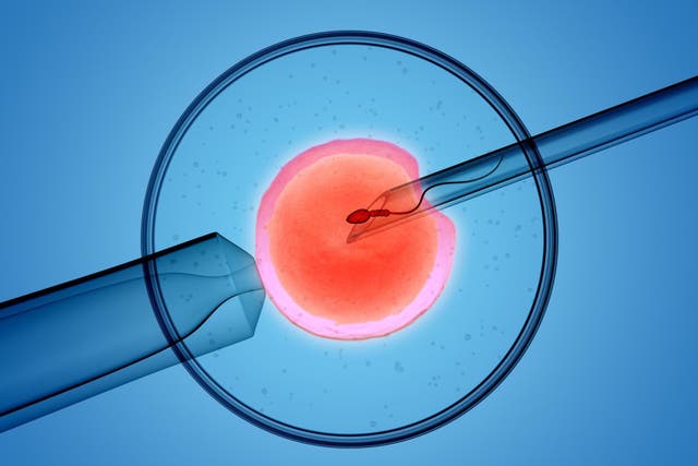 Even with the new add-ons and 40 years of scientific advances, IVF is still not a panacea