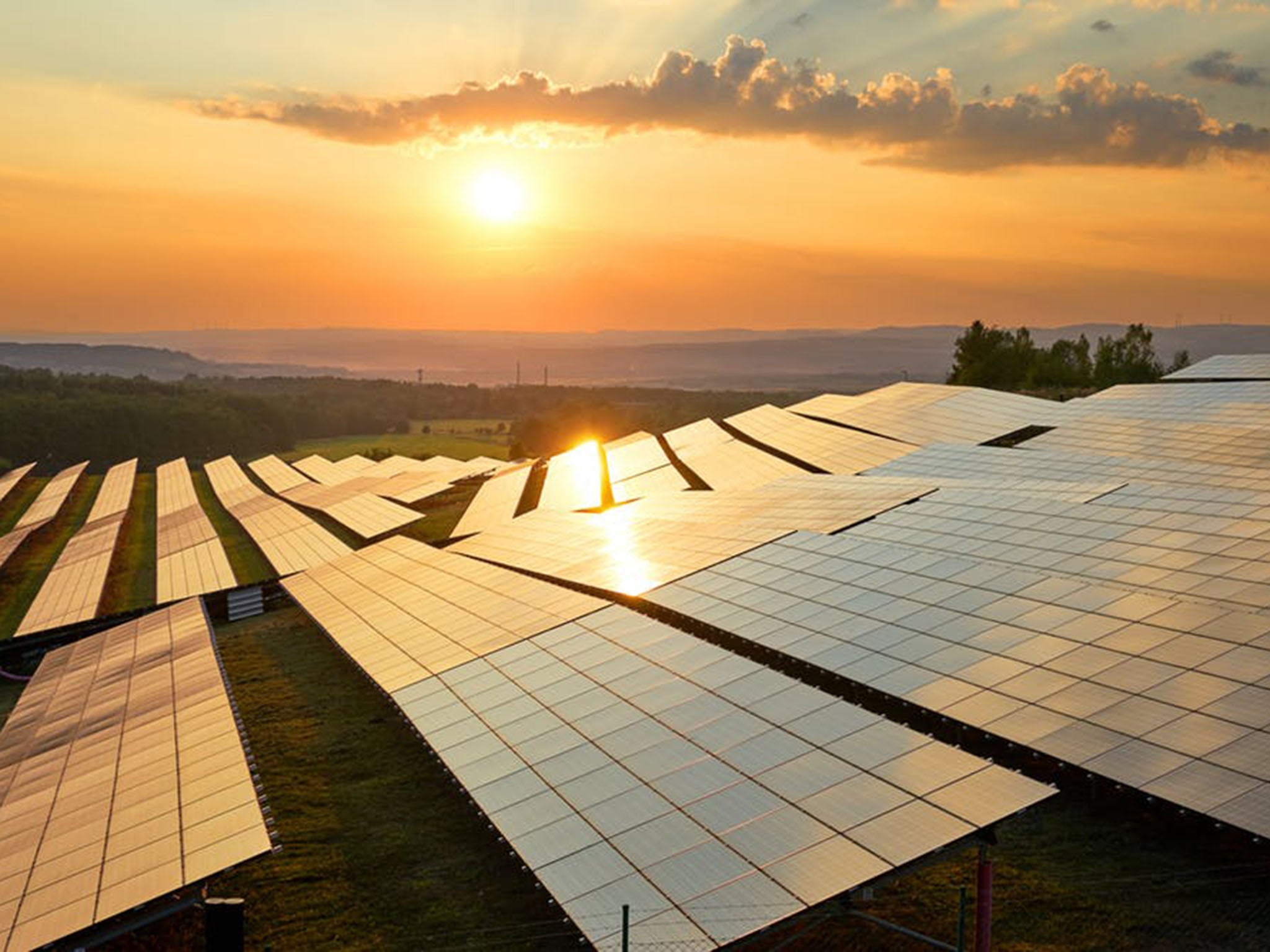 Sunrise kingdom: at midday on 30 June, solar power supplied 30 per cent of the UK’s electricity