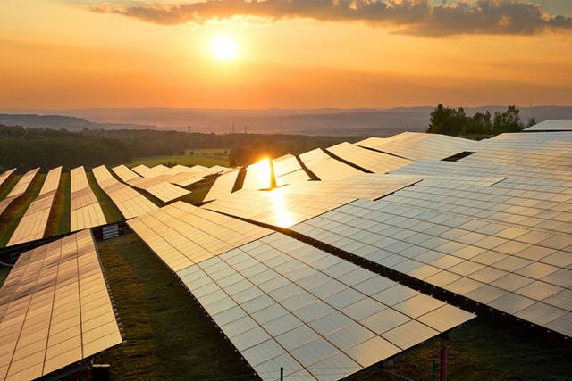 Sunrise kingdom: at midday on 30 June, solar power supplied 30 per cent of the UK’s electricity