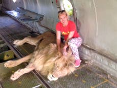 Woman mauled by lion after entering enclosure to take photograph