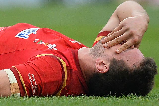 Sam Warburton's retirement is a 'red flag' for rugby union, according to Augustin Pichot