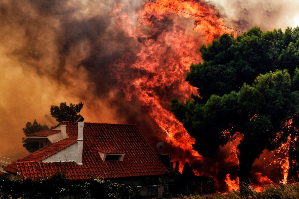 Athens wildfires: Death toll rises to 24 as huge fire sweeps through ...