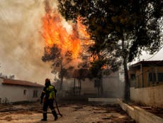 Greek wildfire death toll rises to 74 amid huge blazes outside Athens