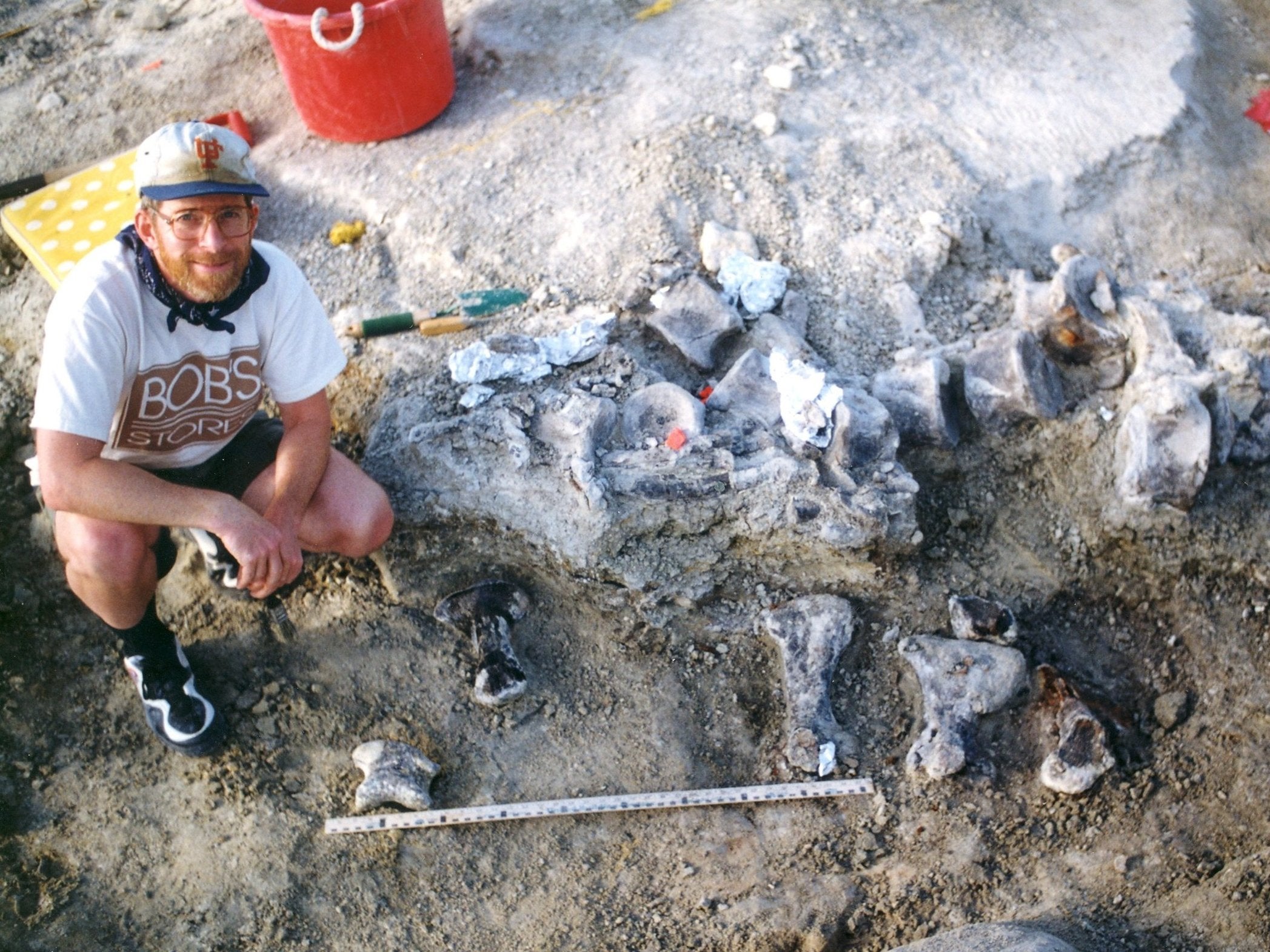 A University of Kansas expedition crew member next to the brachiosaur foot bones, below a tail of a Camarasaurus, during the 1998 excavation in Wyoming