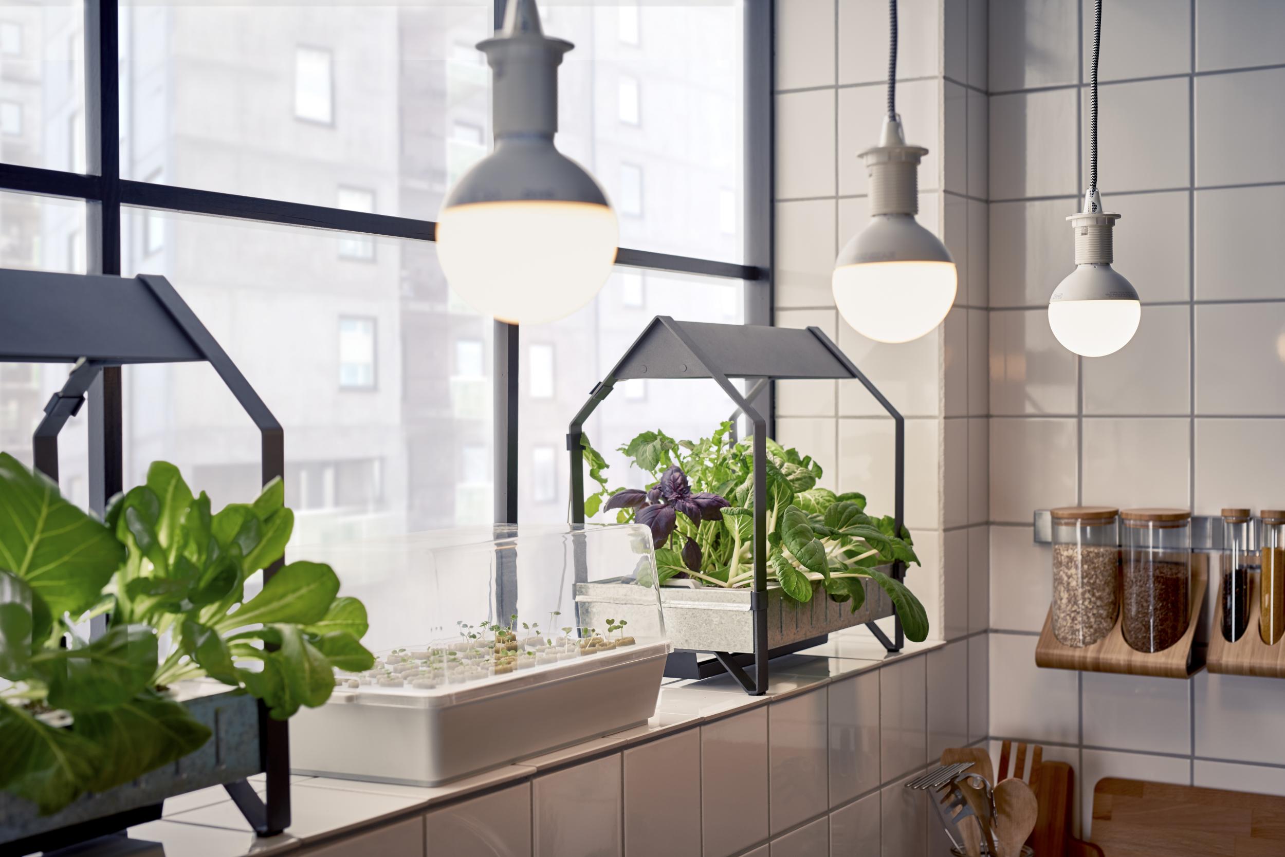 The Rise of At-Home Hydroponic Gardens - Modern Farmer