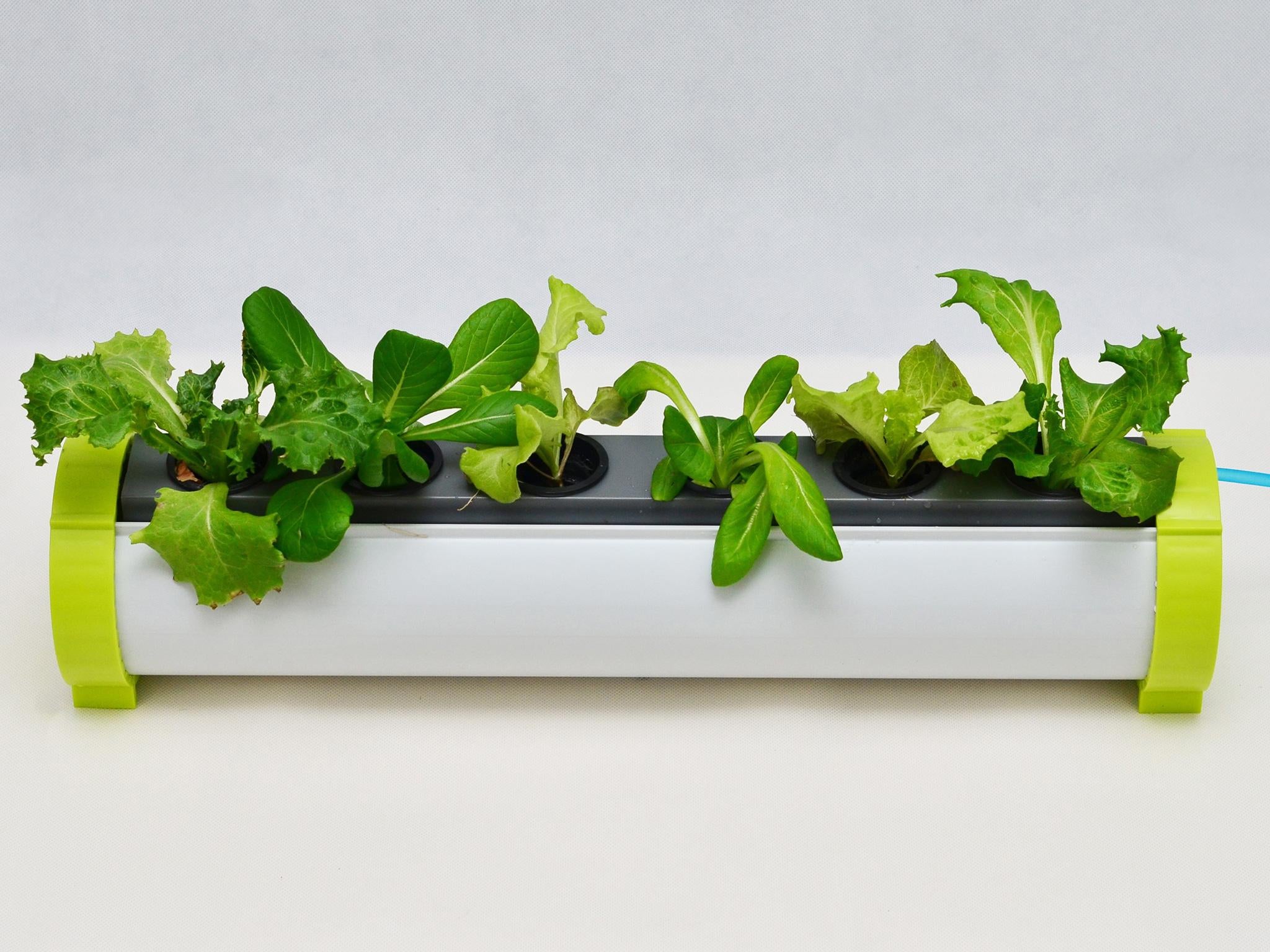 Hydroponics Basket Nursery Tray Bean Seed Germination Pot Vegetable Growing Case 