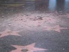 Donald Trump’s ‘Walk of Fame’ star destroyed with pick axe