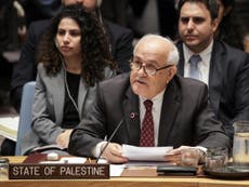 UN group elects Palestine as new leader in snub to US and Israel