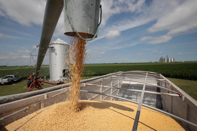 Soybeans are one of the American products hardest hit by retaliatory tariffs