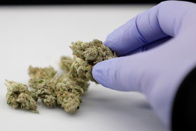 Doctors will be able to prescribe medicine derived from marijuana 'by the autumn'