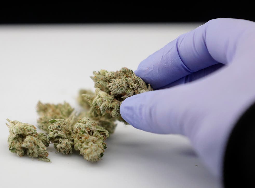 Doctors will be able to prescribe medicine derived from marijuana 'by the autumn'