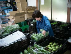 Vegetable prices in Japan spike by 65% due to record-breaking heatwave