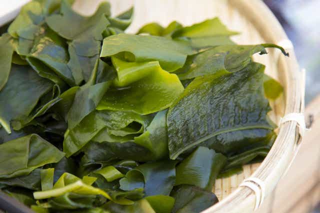 Seaweed has proven benefits to skin health (Stock)