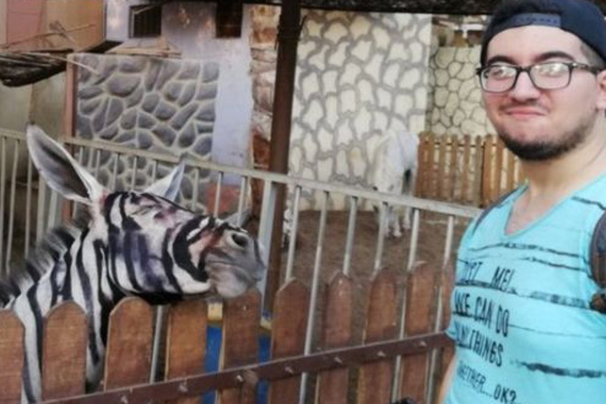 Zoo denies painting black stripes on donkey to look like a zebra