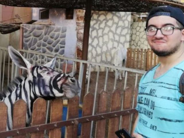 Donkey appears to be painted to appear like a zebra