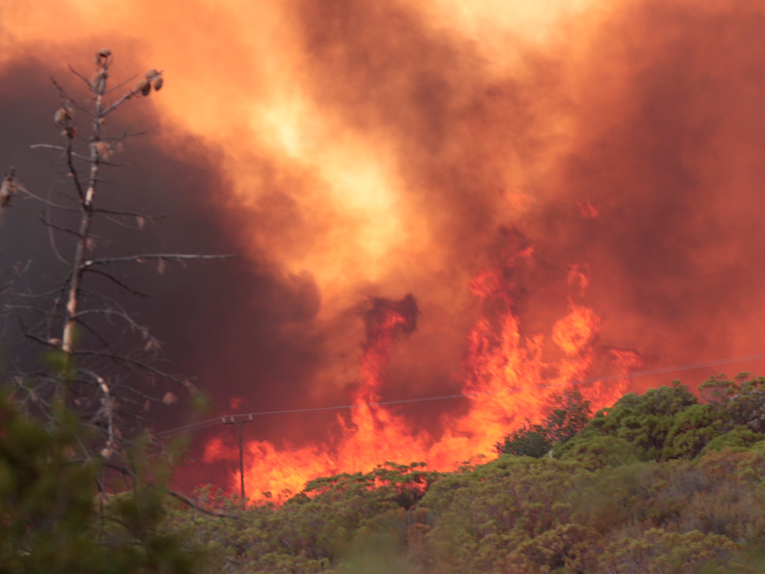 Burning 5. Wildfire got. Arson. Fire Aid.