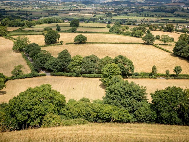 The lack of rainfall over the last few weeks combined with record breaking temperatures is having a dramatic effect on the normally green rural landscape