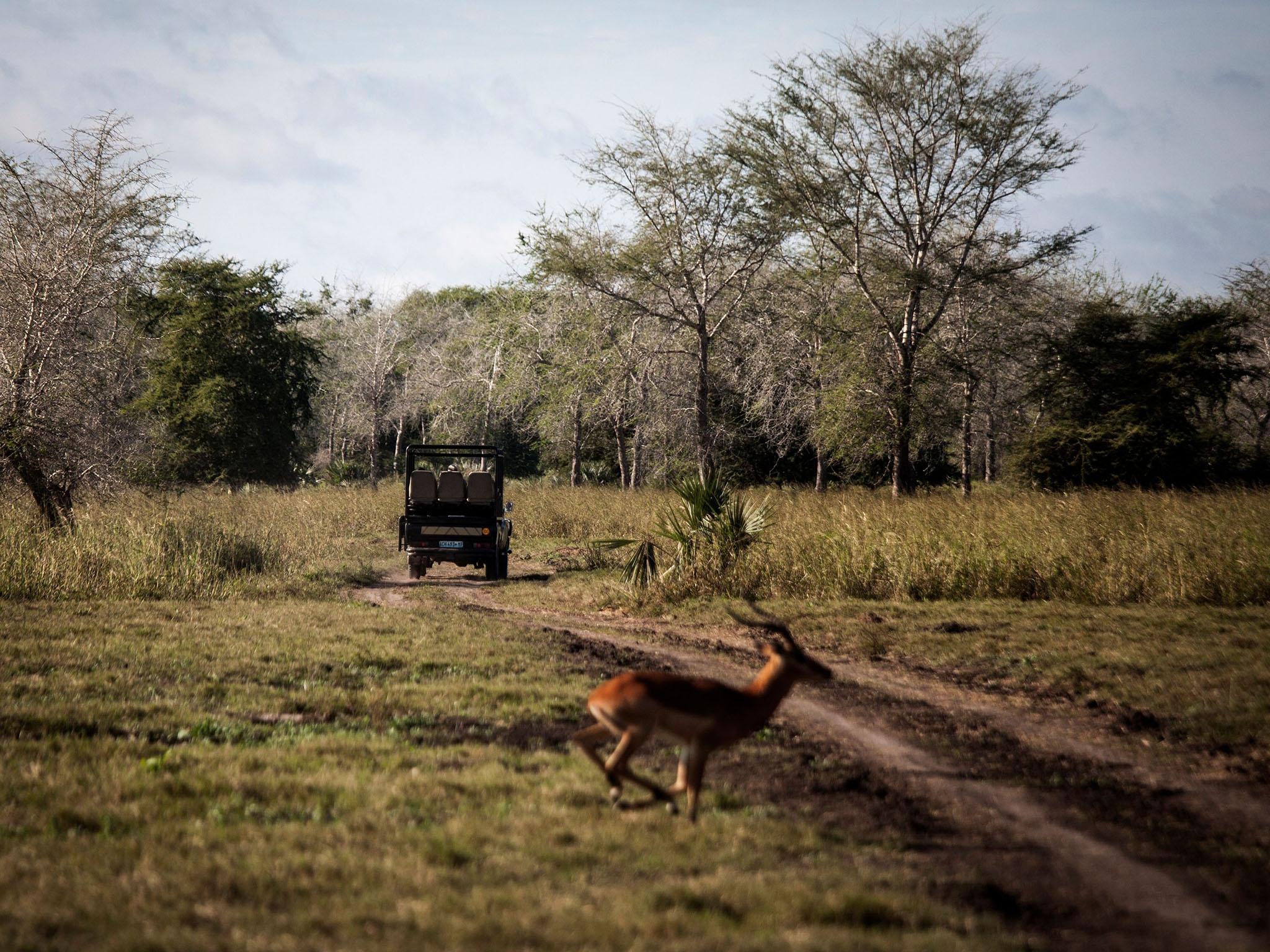 Nature is slowly returning to normal since the brutal civil war