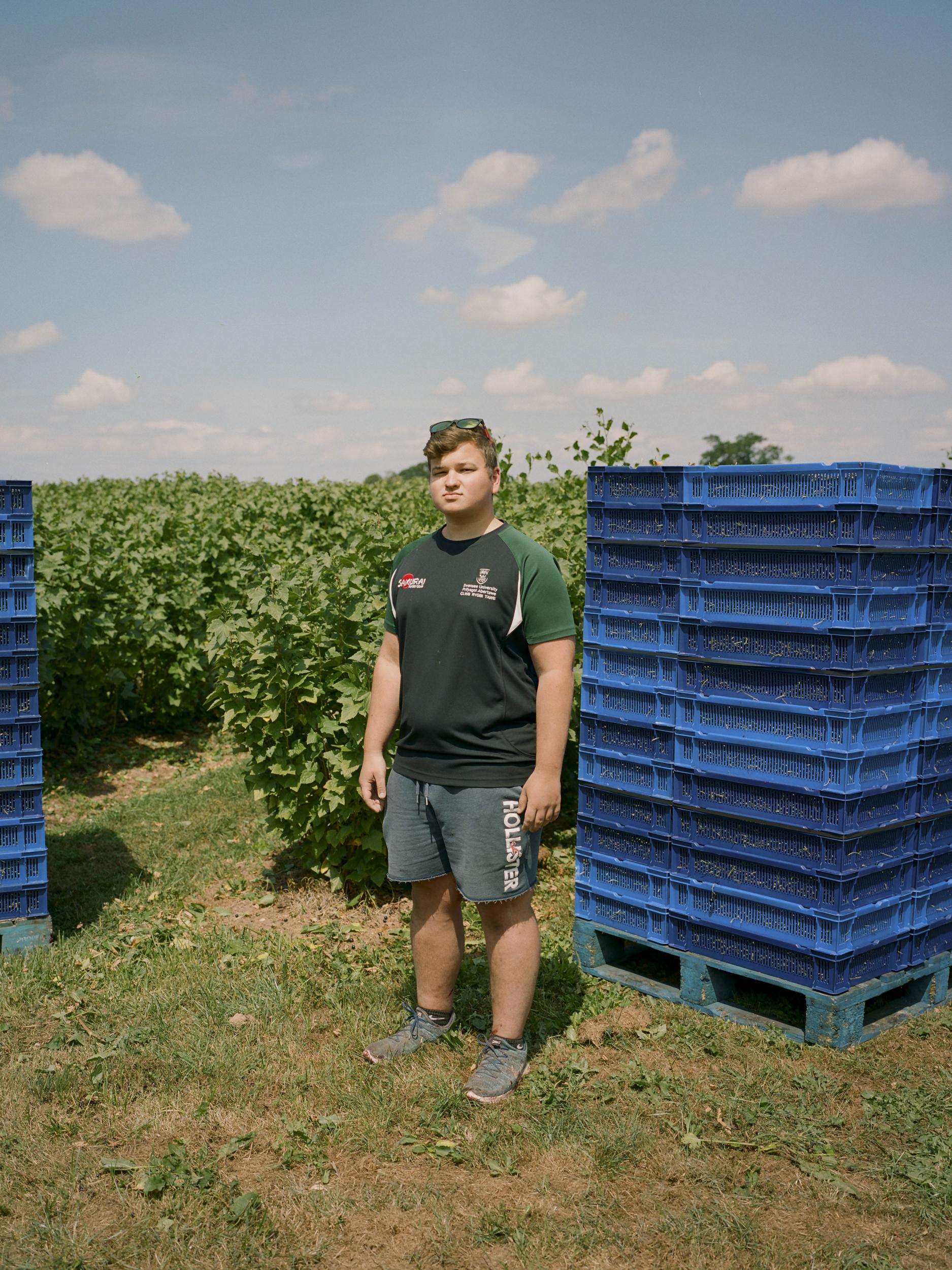British university student Max Hughes took a summer job at the AJ &amp; CI Snell farm in Herefordshire