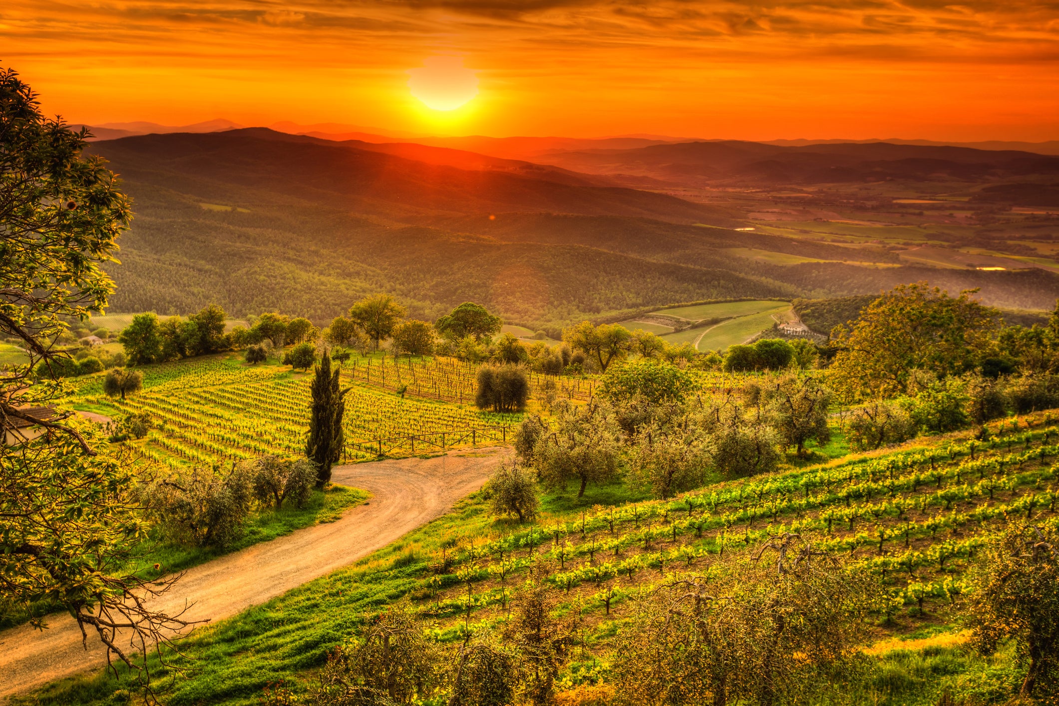 Admire the rolling hills and beautiful sunsets over a glass of the local vino in Tuscany