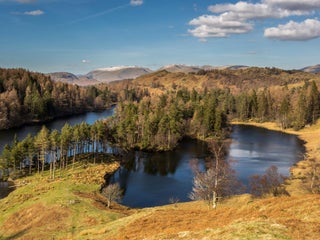 Nuclear waste could be buried underneath national parks, say MPs | The ...