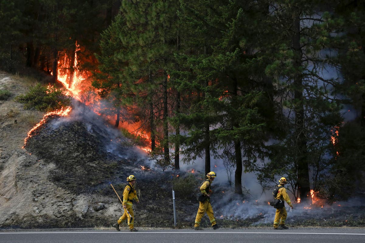 Carr fire: California wildfires will only get worse in the future ...