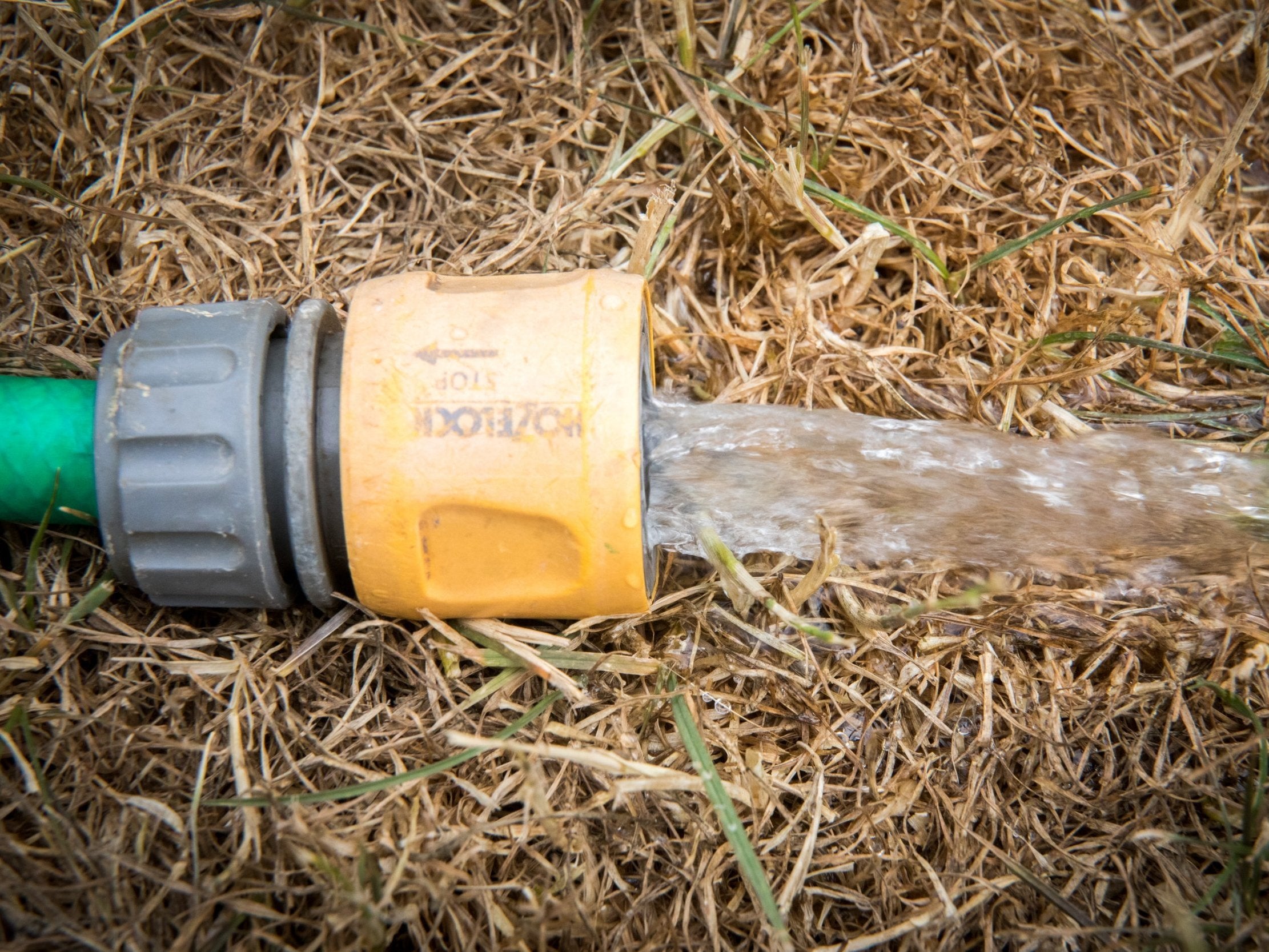 A hosepipe ban has been introduced in Kent and Sussex