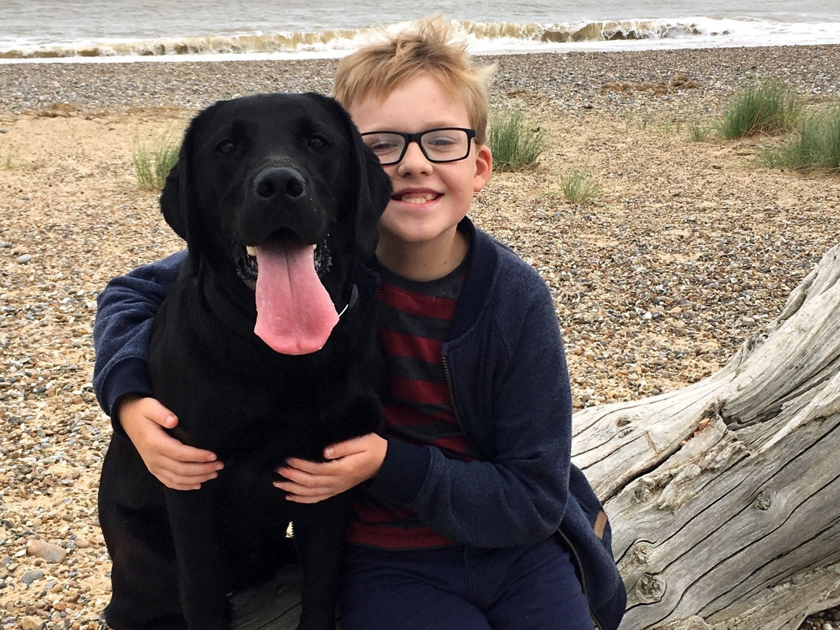 Deaf schoolboy Daniel, 12, is campaigning for the new exam in time for his GCSEs, and his family launched a legal challenge to get one instated as quickly as possible.