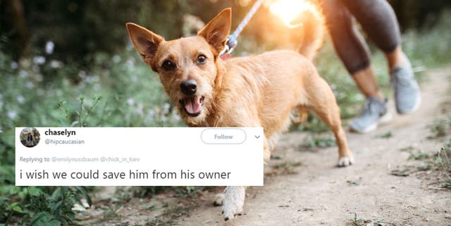 This man s homophobia was unmasked when his date suggested his dog