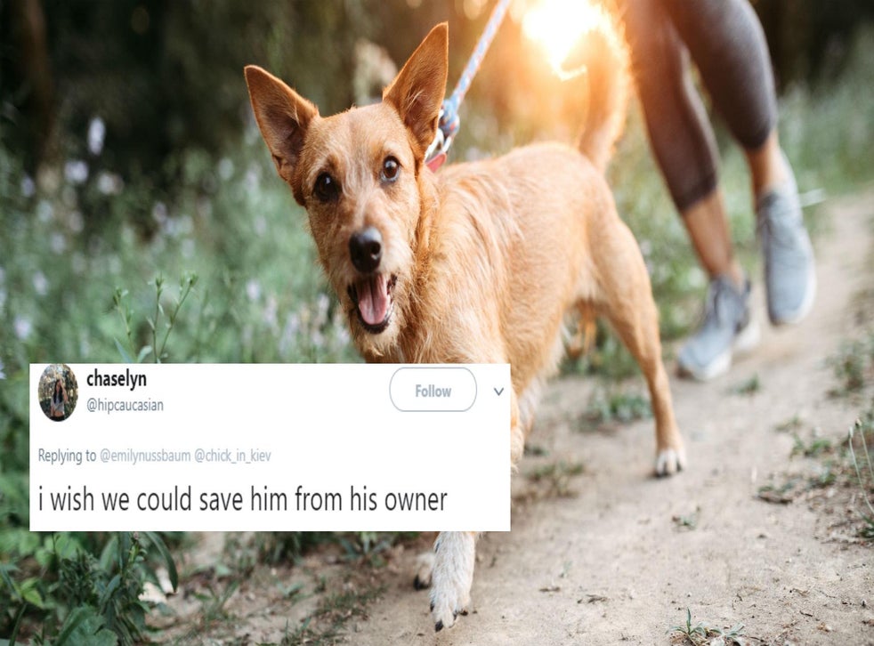 This man's homophobia was unmasked when his date suggested his dog