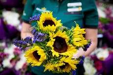 Morrisons selling cheaper ‘wonky flowers’ to help reduce waste