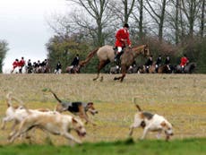 Labour to double number of police officers enforcing fox hunting ban 