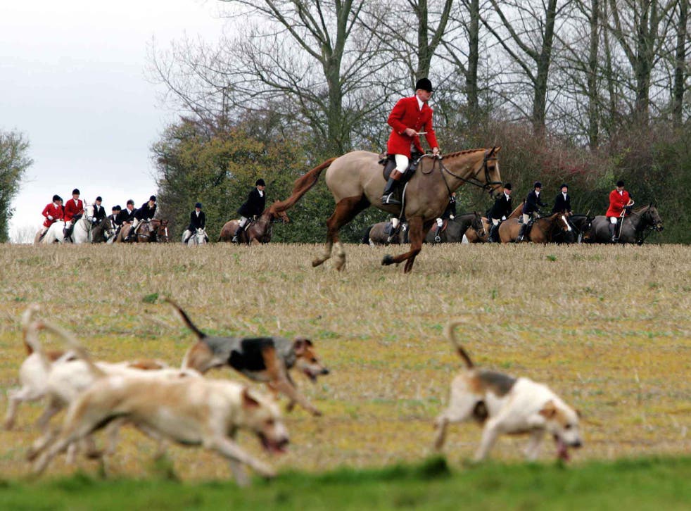 The new deputy chairman of Natural England is a long-time supporter of hunting