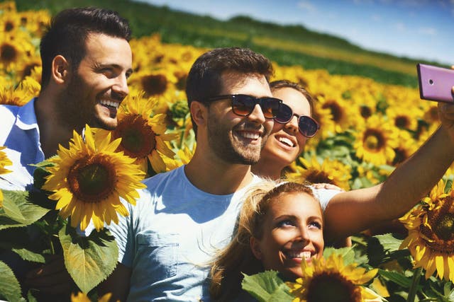 The enduring appeal of a sunflower selfie is irresistible
