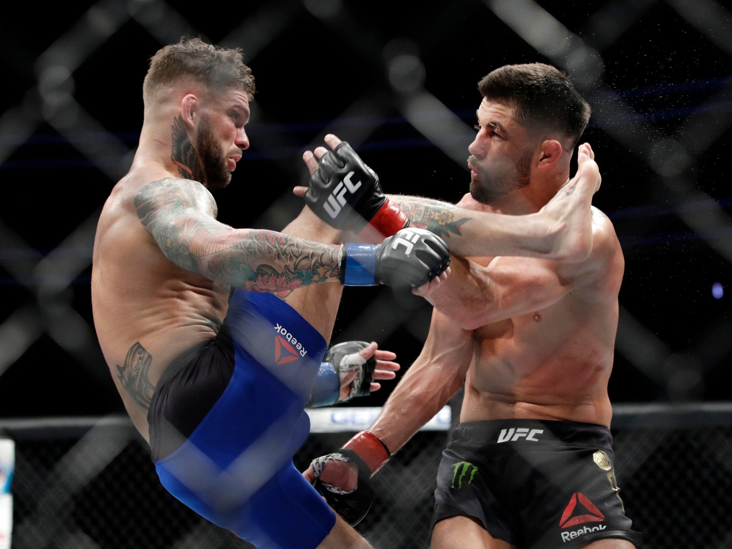 Cody Garbrandt claimed the bantamweight title with an intelligent win over Dominick Cruz