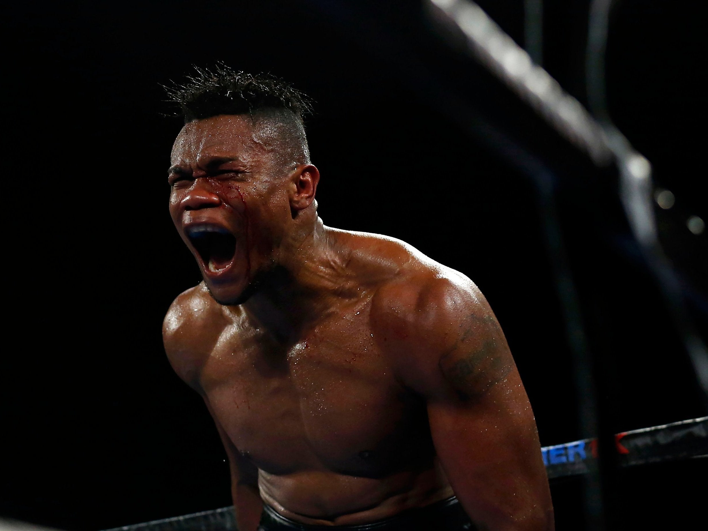 Elieder Alvarez celebrates his victory over Sergey Kovalev