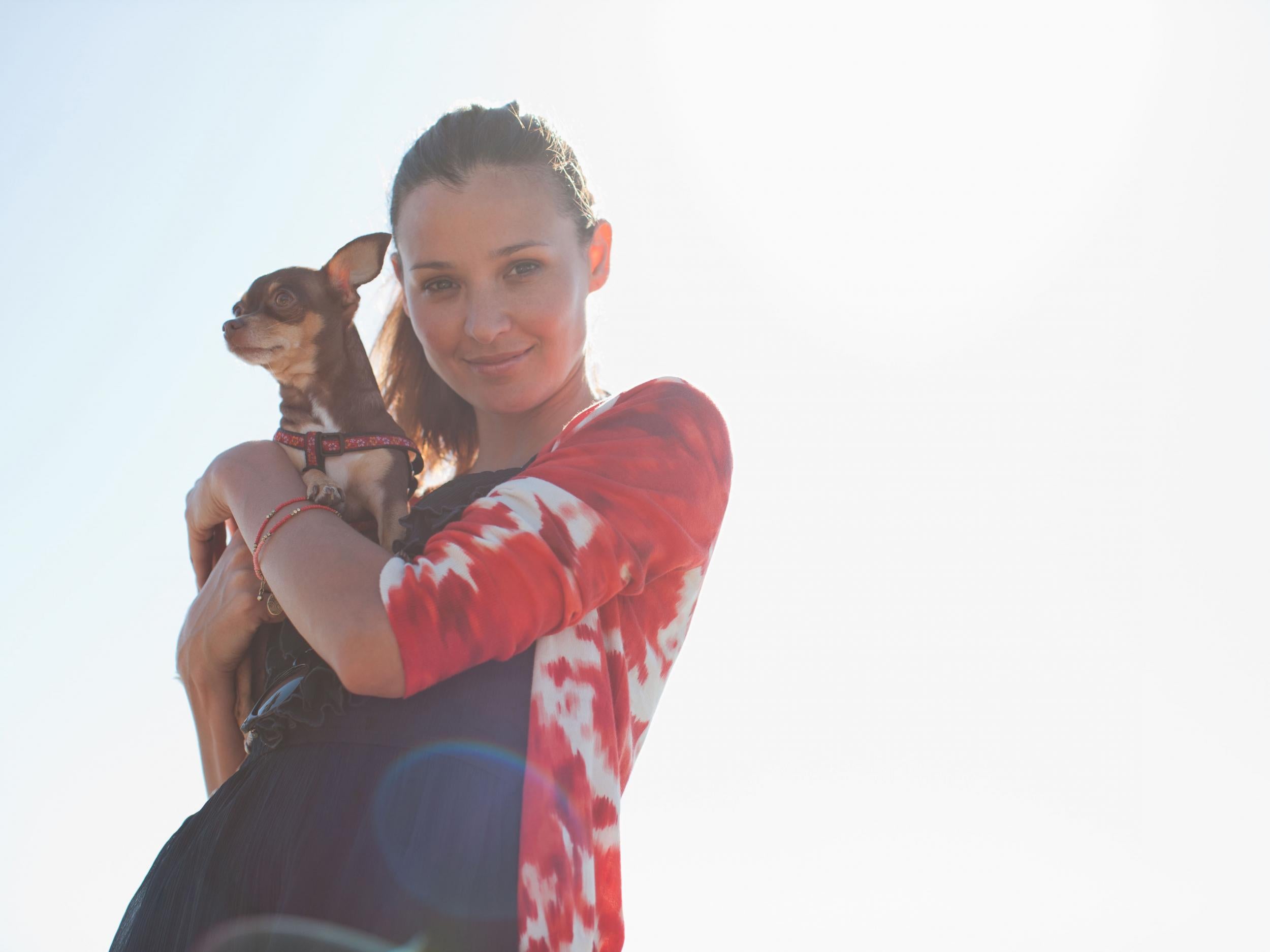 ‘The act of stroking a pet can lower high blood-pressure, and being greeted or comforted by a pet can increase general emotional wellbeing’