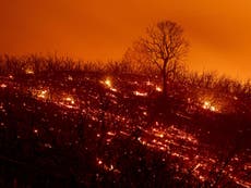 Trump blames deadly California wildfires on 'environmental laws'