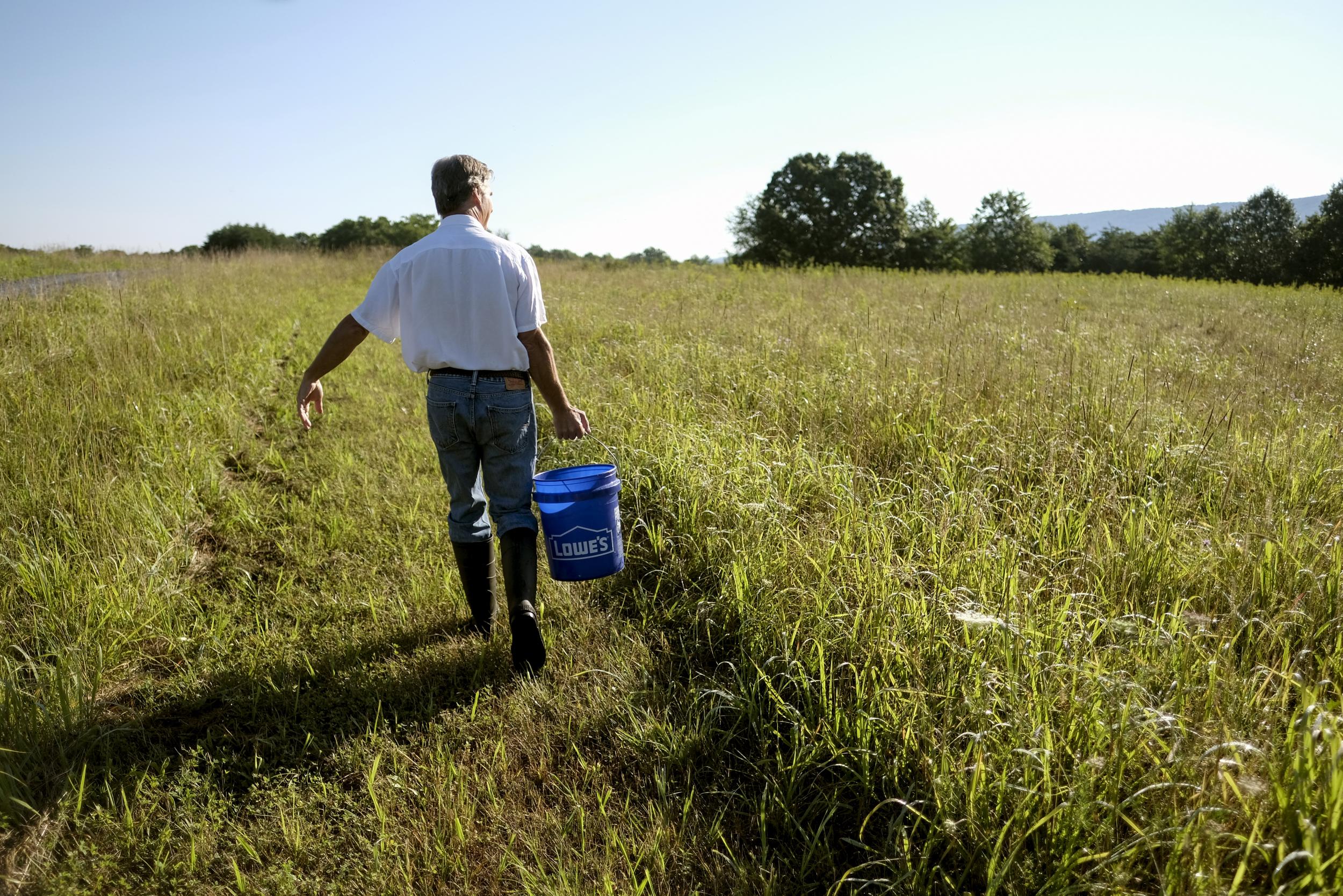 Robbie Babbitt, 63, carries water for Katahdin sheep he is raising