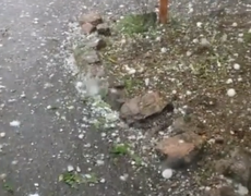 Massive hailstones kill two animals at zoo