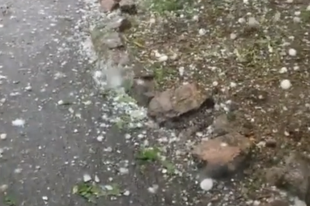 Giant hailstones pummelled Cheyenne Mountain Zoo in Colorado