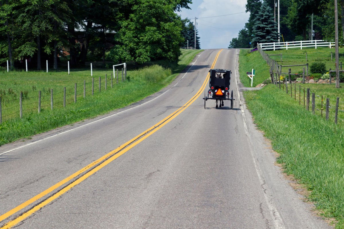 Two parents killed and eight children injured in Amish buggy crash ...